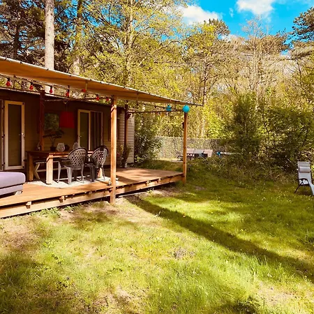 Campingplads Beautiful Tinyhouse Sea Dune And Bakkum Castricum