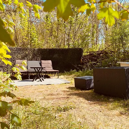 Beautiful Tinyhouse Sea Dune And Bakkum *