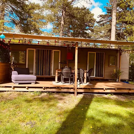 Beautiful Tinyhouse Sea Dune And Bakkum Campingplads Castricum