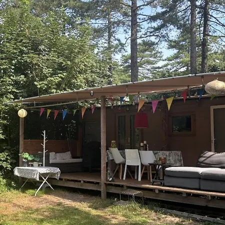 Beautiful Tinyhouse Sea Dune And Bakkum Castricum