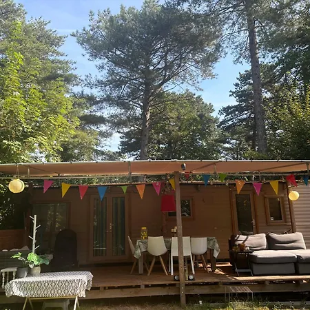 Camping Beautiful Tinyhouse Sea Dune And Bakkum *